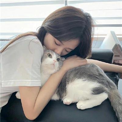 鲨鱼宝宝成长记